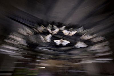 Magic Lantern by Mat Collishaw