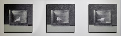 Operant Conditioning Chamber 3, 2022 by Mat Collishaw