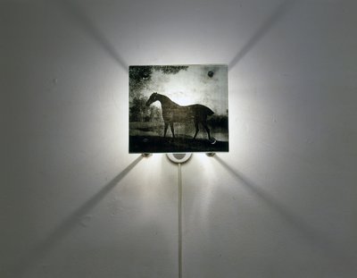 Stubbs Horses by Mat Collishaw