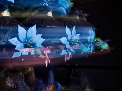 The Centrifugal Soul by Mat Collishaw