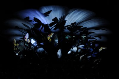 The Garden of Unearthly Delights by Mat Collishaw