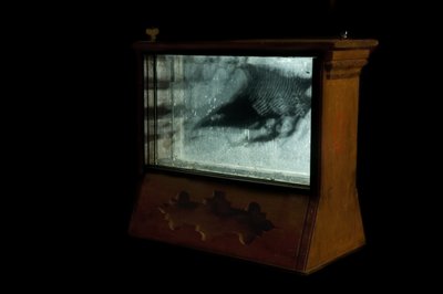 Wormery by Mat Collishaw