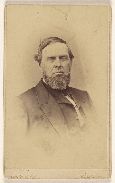 Unidentified Bearded Man, Printed in Vignette-Style by Mathew B. Brady