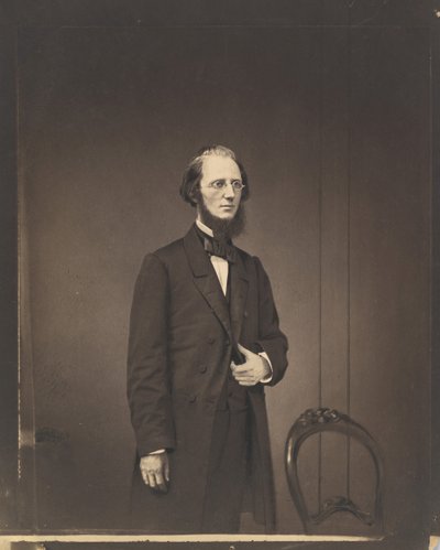 Portrait of a Man by Mathew Brady