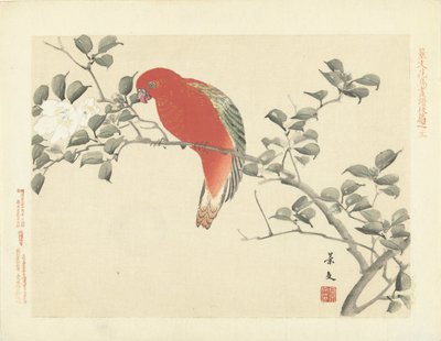 Red Parrot on a Branch with White Flowers by Matsumura Keibun