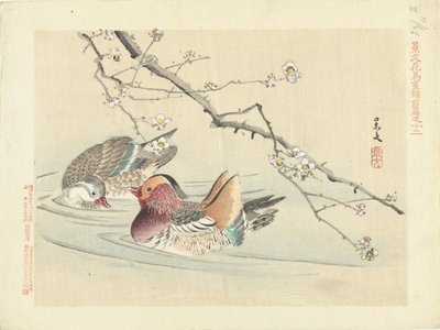 Two Ducks (Flower and Bird Sketches by Keibun - Part One) by Matsumura Keibun