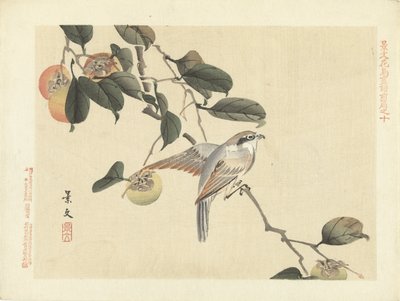 Bird and Persimmon (Flower and Bird Sketches by Keibun - Part One) by Matsumura Keibun