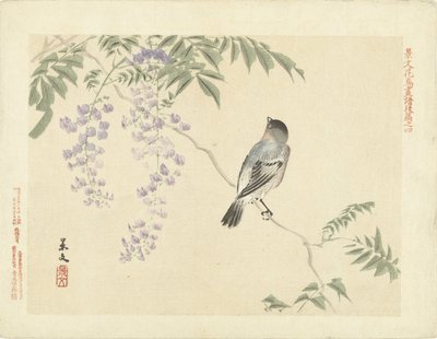 Bird on wisteria branch by Matsumura Keibun