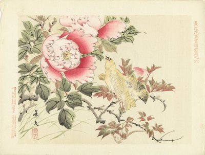 Birds and Peonies (Flower and Bird Sketches by Keibun - Part One Series) (Keibun kacho gafu zenpen) by Matsumura Keibun