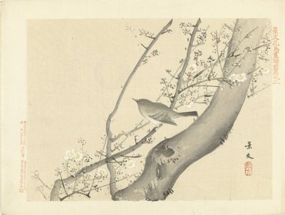 Bird in Tree with White Blossom by Matsumura Keibun