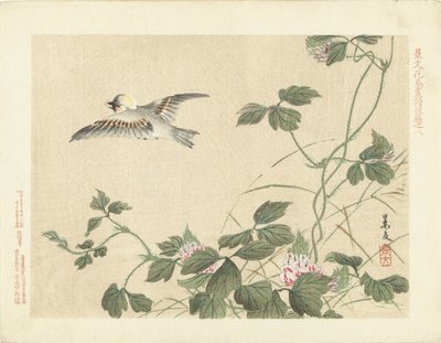 Flying Bird by Climbing Plant with Pink Flowers (Flower and Bird Sketches by Keibun - Part Three) by Matsumura Keibun