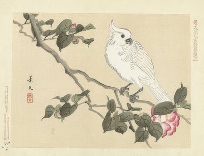White Cockatoo on a Camellia Branch. 1892 by Matsumura Keibun