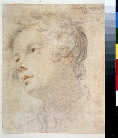 Head of a Boy by Matteo Rosselli