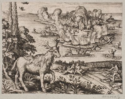 Here I Cannot Help but Consider the Very Wonderful Being, Which the Natives Call Mosse by Matthäus Merian d.Æ.