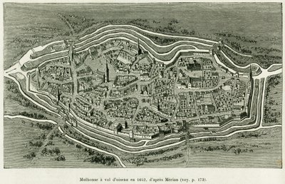 Mulhouse Flies in 1642. Engraving by Matthaus Merian (1593-1650) to illustrate the story 