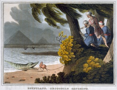 Egyptians, Crocodile Catching by Matthew Dubourg