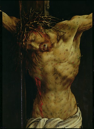 The Crucifixion from the Isenheim Altarpiece (detail of Christ