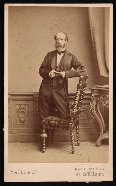 Portrait of Andrew Dickson Murray 1812-1878 by Maull and Co