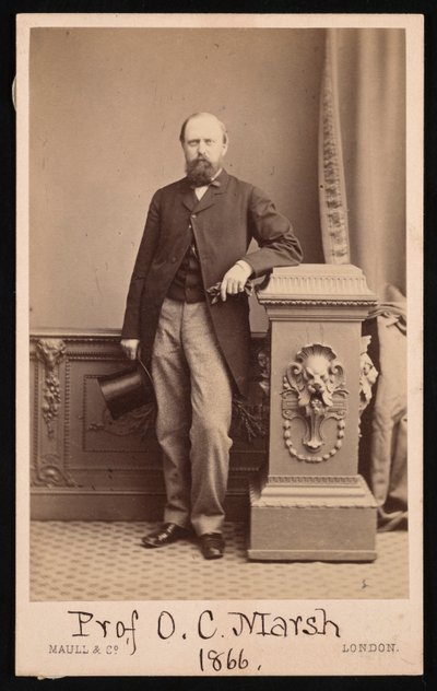 Portrait of Othniel Charles Marsh by Maull and Co