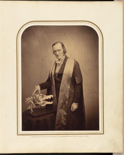 Professor Owen, F.R.S. by Maull and Polyblank