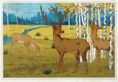 Deer from L