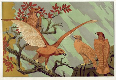 Eagles, from 
