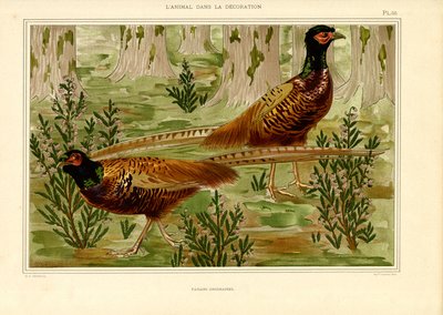 Naturalistic Pheasant Pair in Forest by Maurice Pillard Verneuil