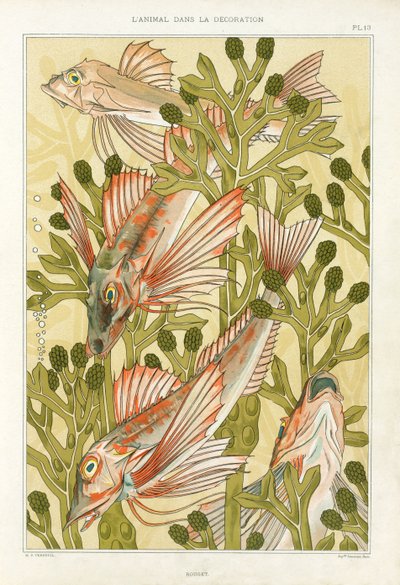 Red Mullet, from 