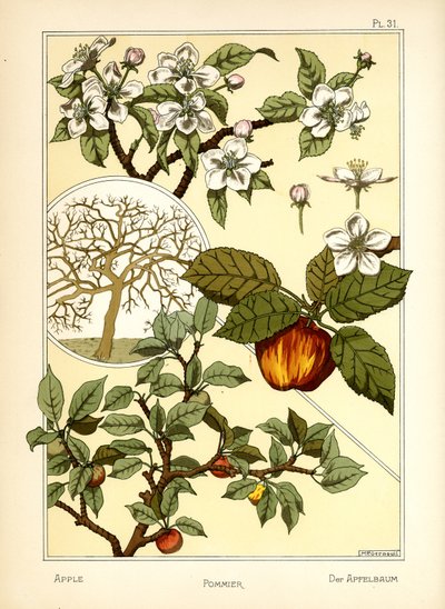 The Apple Tree by Maurice Pillard Verneuil
