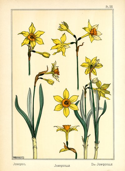 The Jonquil by Maurice Pillard Verneuil