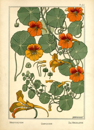 The Nasturtium by Maurice Pillard Verneuil