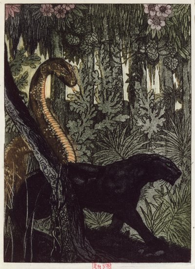Kaa
