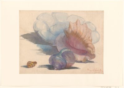 Three Shells by a Delft Folded Dish by Maurits van der Valk