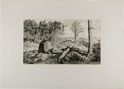 Simplicius in the Solitude of the Forest, Plate Ten from Intermezzos by Max Klinger