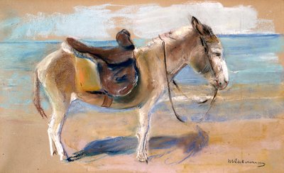 Donkey on the Beach of Noordwijk by Max Liebermann