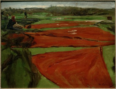 Meadow with Spread Nets and Sails by Max Liebermann