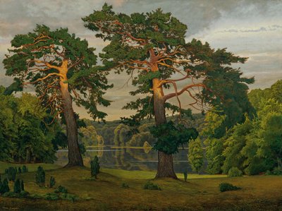 Pines at the Forest Edge by Max Zaeper