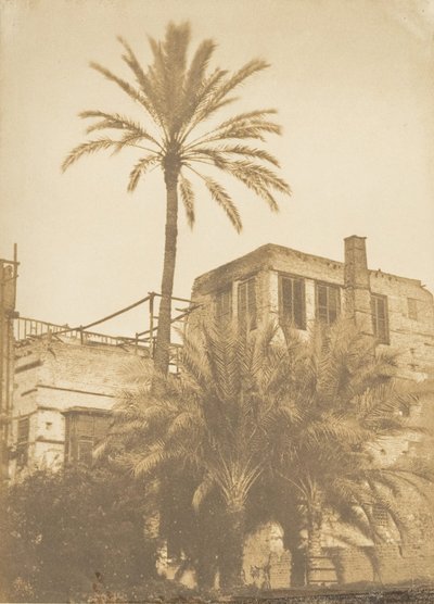 Dattiers et Maison du Quartier Franc, au Kaire, December 1849-January 1850 by Maxime Du Camp