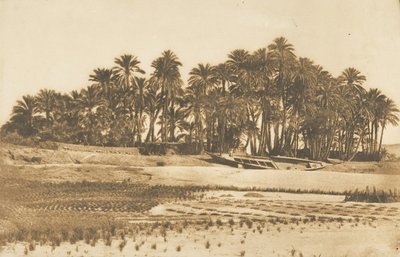 View of Elephantine Island, opposite Aswan, 1849-50 by Maxime Du Camp