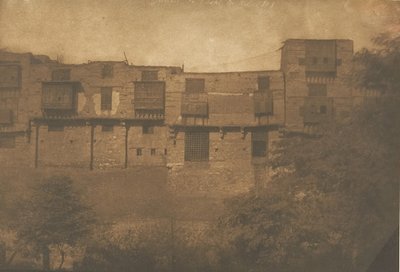 View from a Garden in the French Quarter, Cairo by Maxime Du Camp