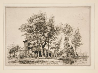 Acacia Trees by Maxime Lalanne