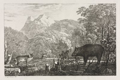 Wild Boar, Wildcat and Lynx by Maximilian Josef Wagenbauer