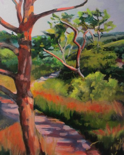 Sunlit Forest Path by Maxine Shore