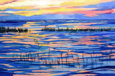 Vibrant Marsh Sunset by Maxine Shore