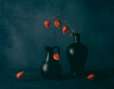 Moody Chinese Lanterns by May G