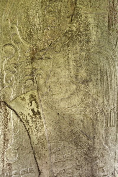 Stela 9 Depicting Ajb’alun Haab’tal Wat’ul K’atel, Terminal Classic King from Ceibal, Guatemala (detail) by Mayan