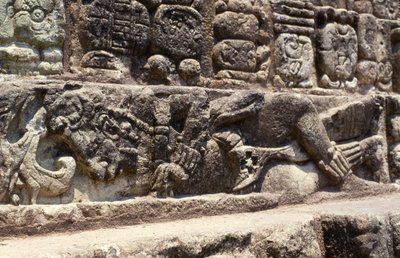 Prisoner of the steps of the Hieroglyphic Stairway, Copan, Late Classic Period (600-900) c.760 AD by Mayan