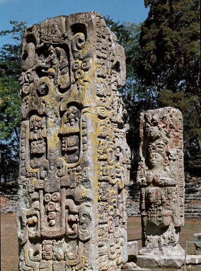 Stele A and C, Plaza de Ceremonias, 731 AD by Mayan