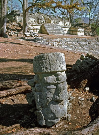 View of the Eastern Court and Temple 22, Classic Period 7th-8th Century by Mayan