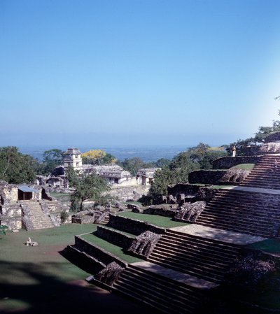 View of the Site of Palenque in Chiapas by Mayan Mayan